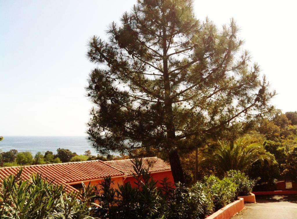 Hotel Residence San Pieru Tarcu Bagian luar foto