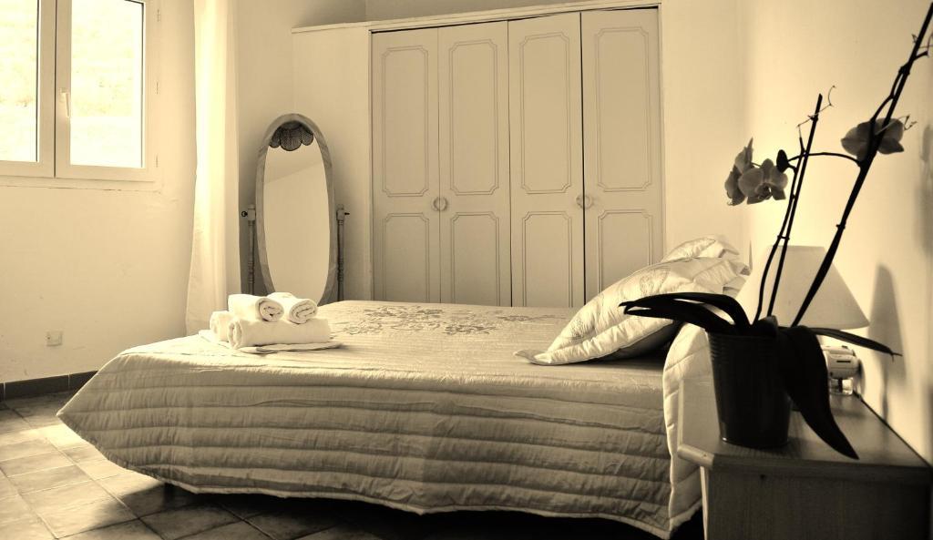 Hotel Residence San Pieru Tarcu Bagian luar foto