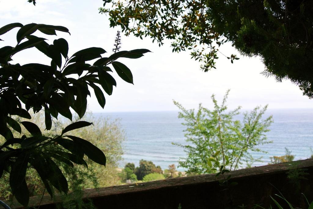 Hotel Residence San Pieru Tarcu Bagian luar foto
