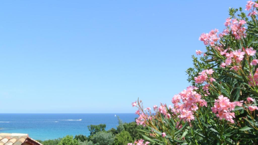 Hotel Residence San Pieru Tarcu Ruang foto